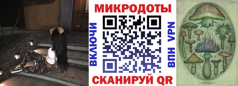 KRAKEN ТОР  Юрга  Псилоцибиновые грибы Psilocybe 