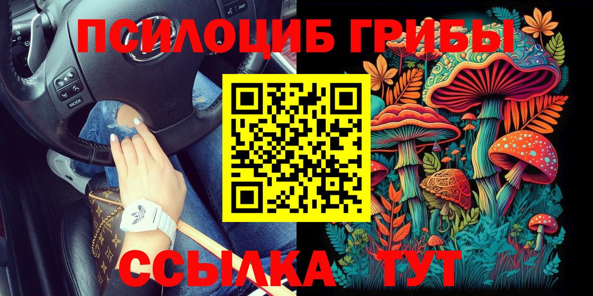 Псилоцибиновые грибы ЛСД  дарнет шоп  Юрга  Галлюциногенные грибы мицелий  Вход с VPN 