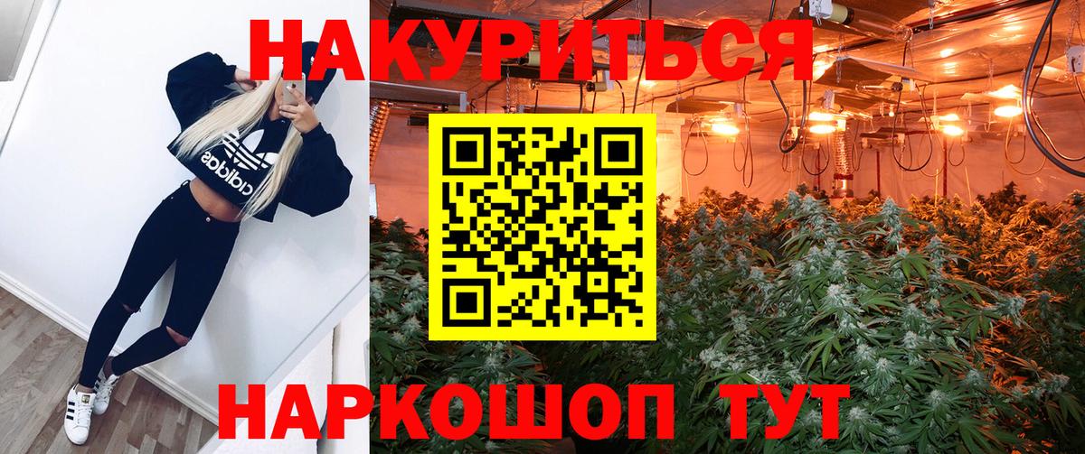 Каннабис сатива Юрга